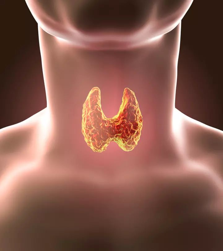 thyroid